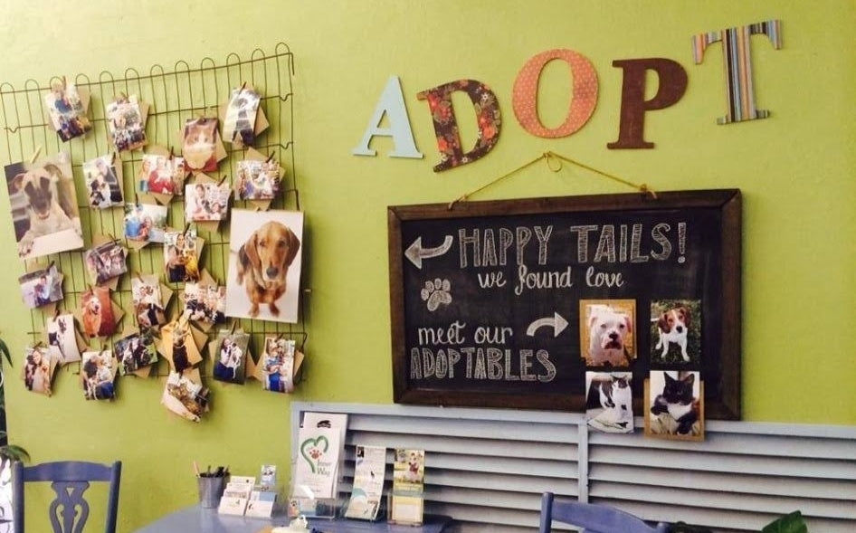 How Can Independent Pet Shops Compete with Big Box Stores? Here are 5