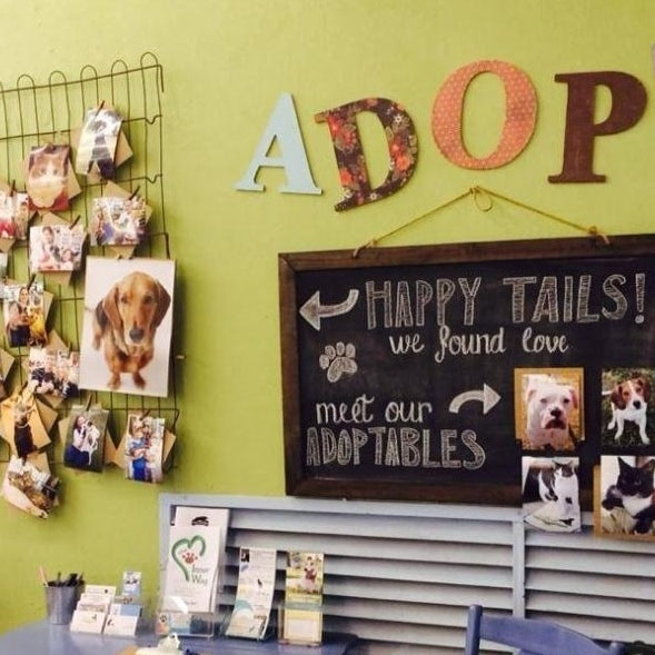 How Can Independent Pet Shops Compete with Big Box Stores? Here are 5 Ways