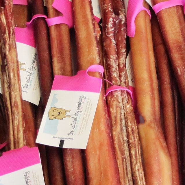 Everything you Ever Wanted To Know About Bully Sticks