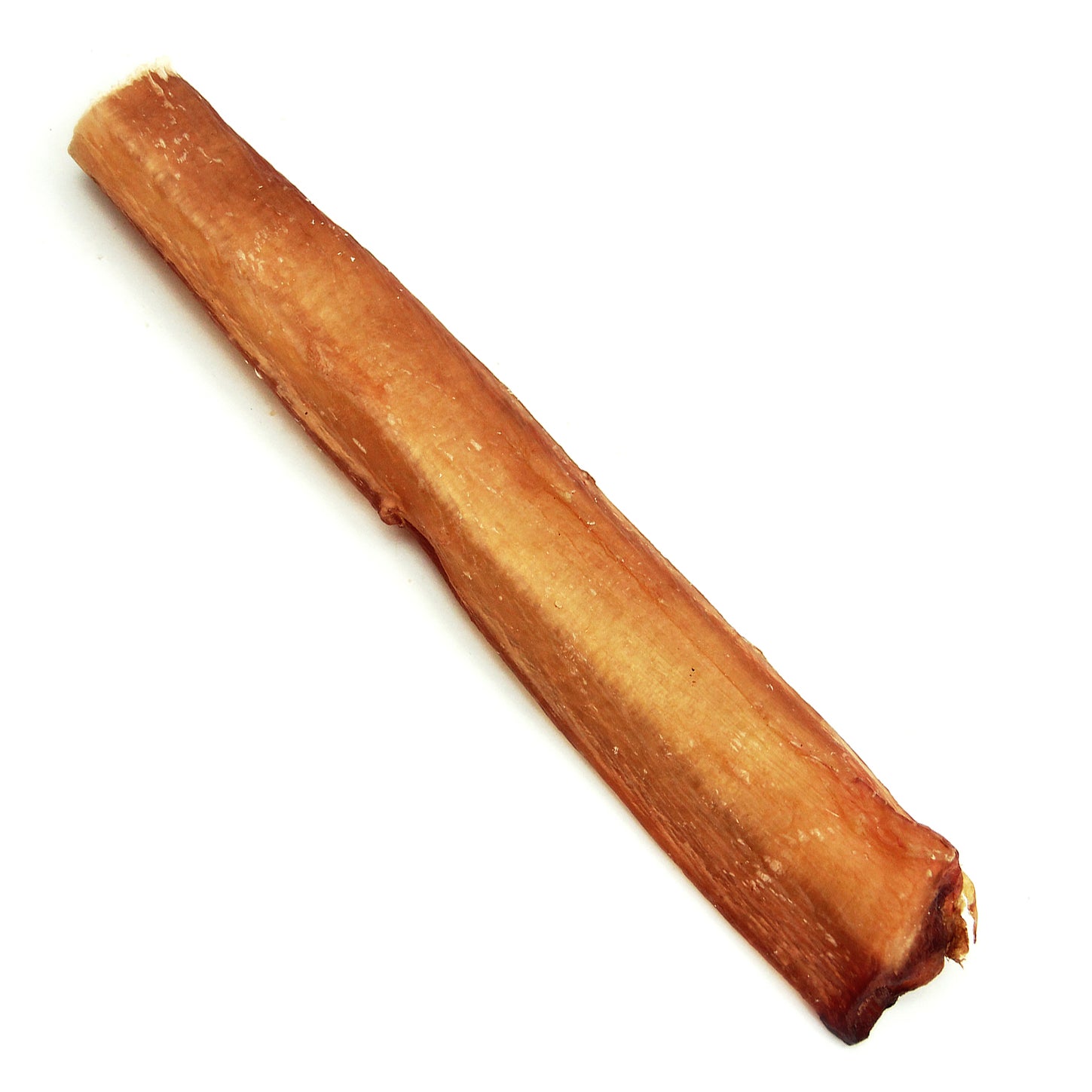 6" Thick Bully Sticks Odor Free (Bulk) — WHOLESALE Tuesday's