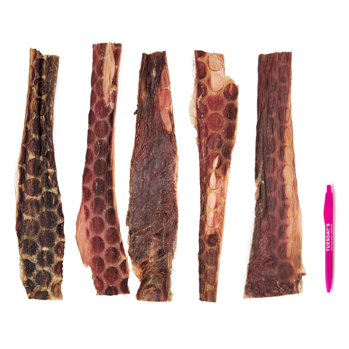 12" Gullet Strips (Bulk)