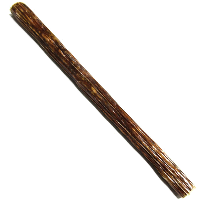 12" Chewy Bull - 2 Pack