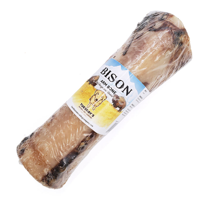 Bison Arm Bone (Shrinkwrapped)