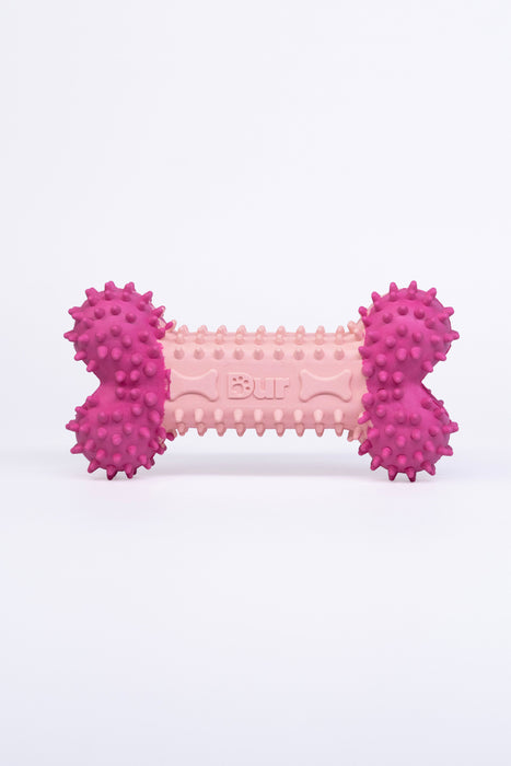 Dog Bone Toy