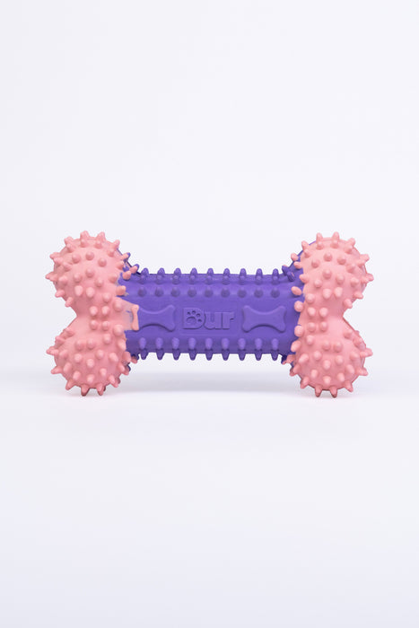 Dog Bone Toy