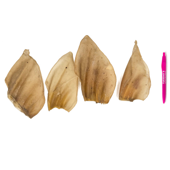 Cow Ears (Bulk)