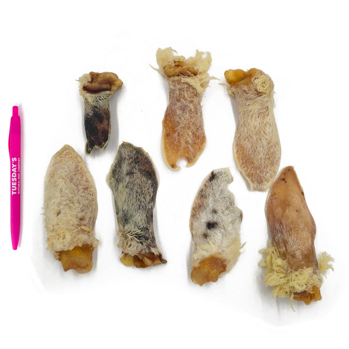 Furry Lamb Ear (Bulk)