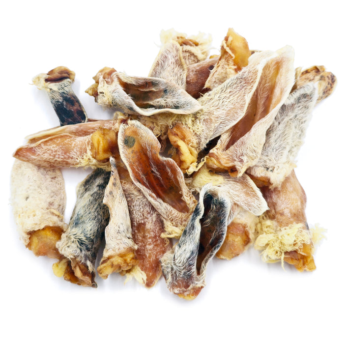 Furry Lamb Ear (Bulk)