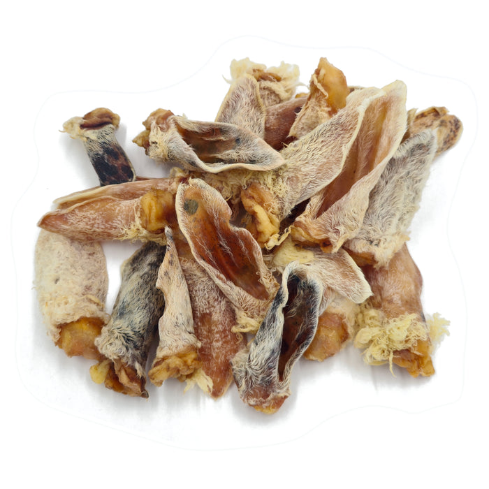 Furry Lamb Ear (Bulk)