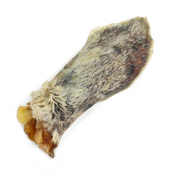Furry Lamb Ear (Bulk)