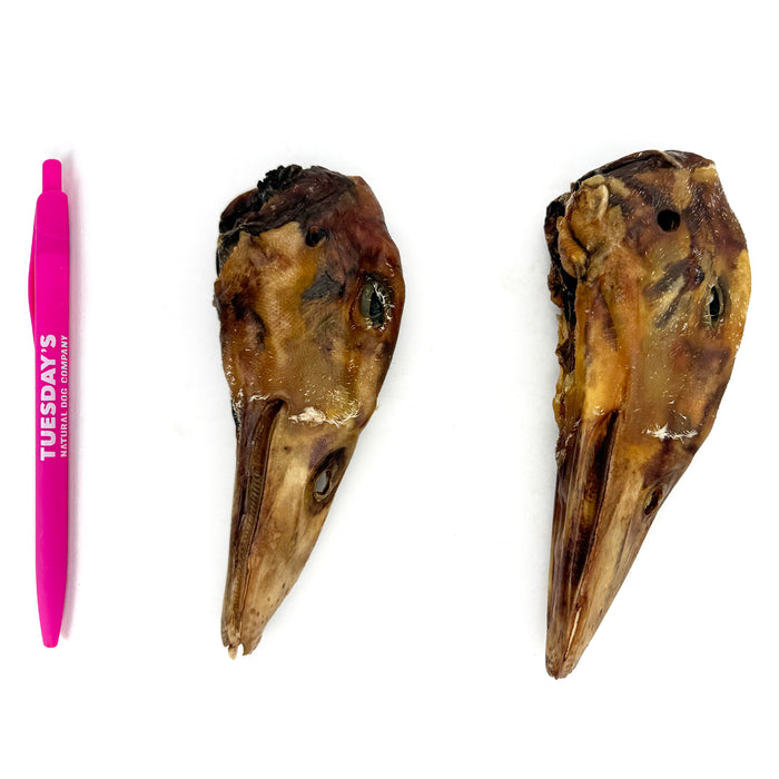 Duck Heads (Bulk)