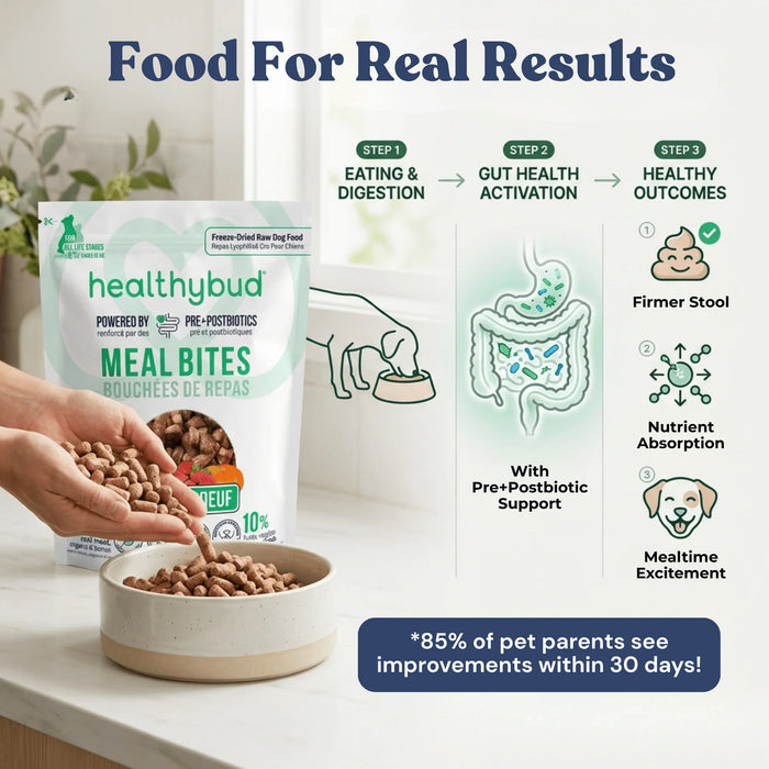 Healthy Bud Beef Bites - 12 ct