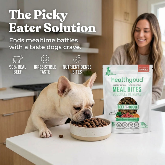 Healthy Bud Beef Bites - 12 ct