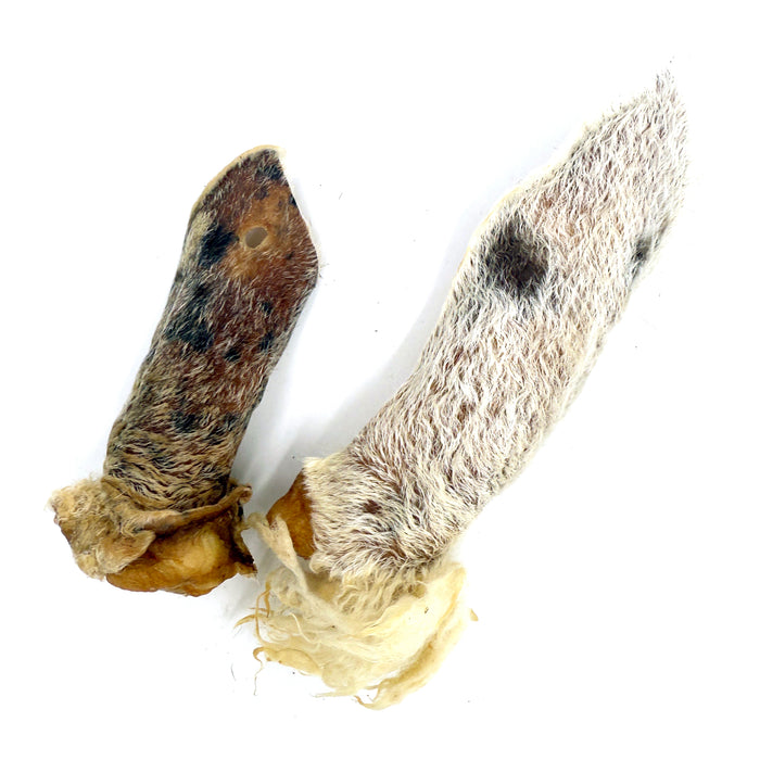 Furry Lamb Ear (Bulk)