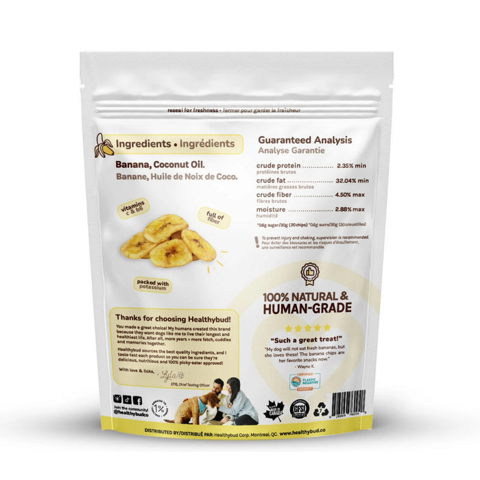 Healthybud Banana Chips - 15 ct