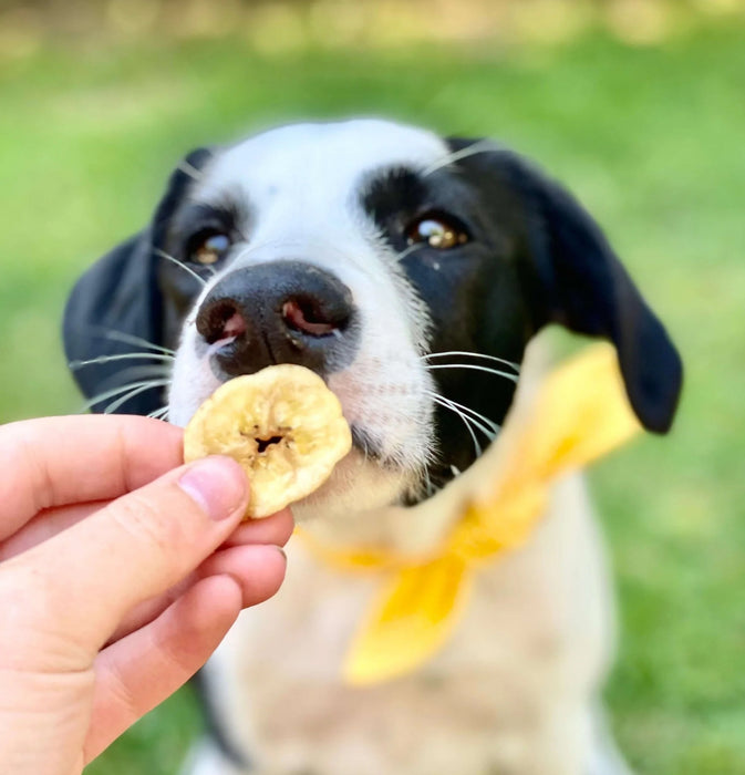 Healthybud Banana Chips - 15 ct