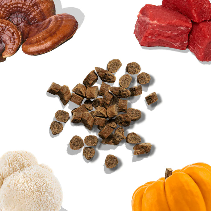 Healthybud Beef Training Treat - 12 ct
