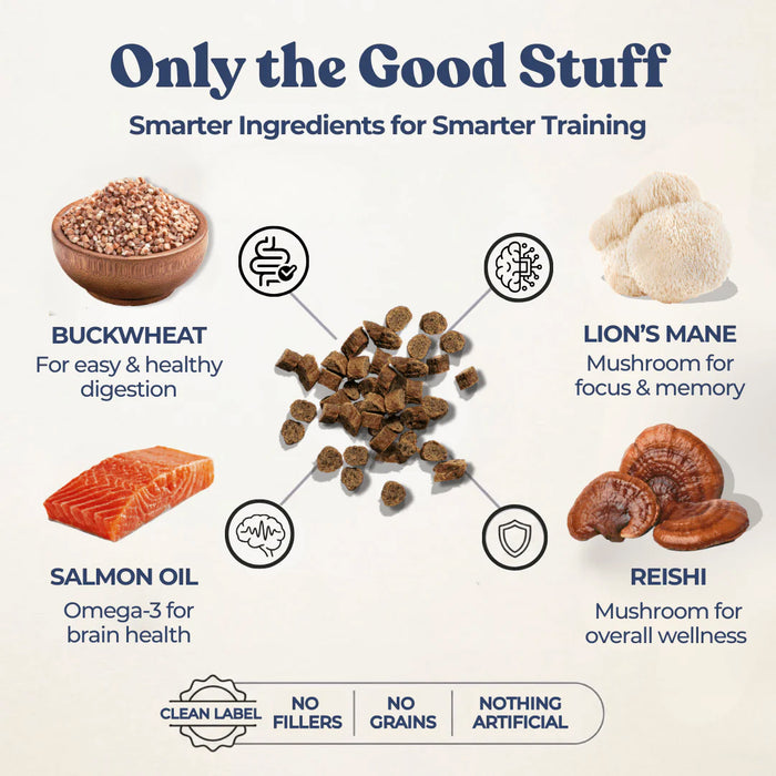 Healthybud Beef Training Treat - 12 ct