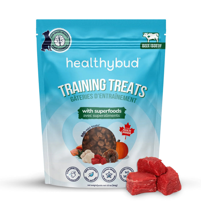 Healthybud Beef Training Treat - 12 ct