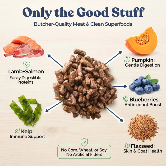 Healthybud Lamb & Salmon Meal Bites - 12 ct