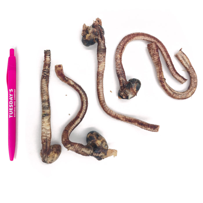 Duck Trachea - 2 oz