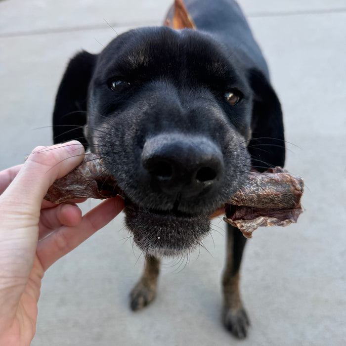 7" Charcoal Wrapped Collagen Stick (Bulk)