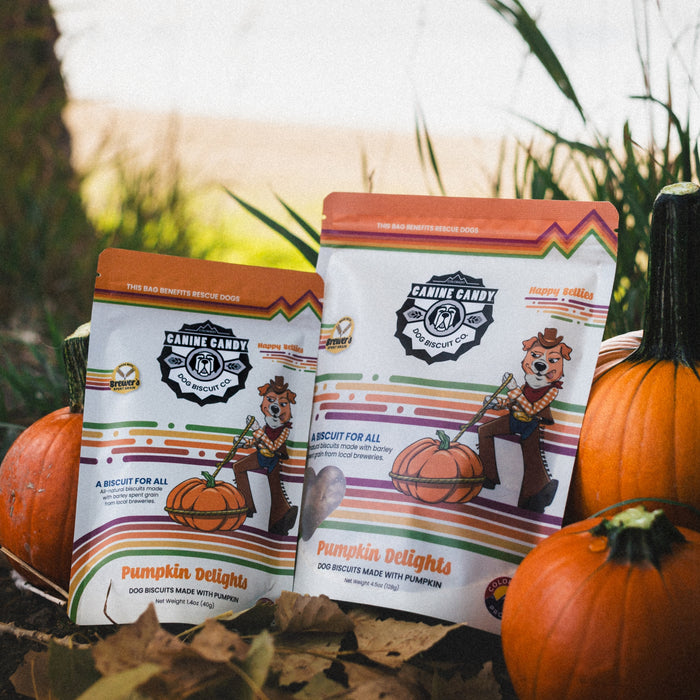 Pumpkin Delights Biscuits