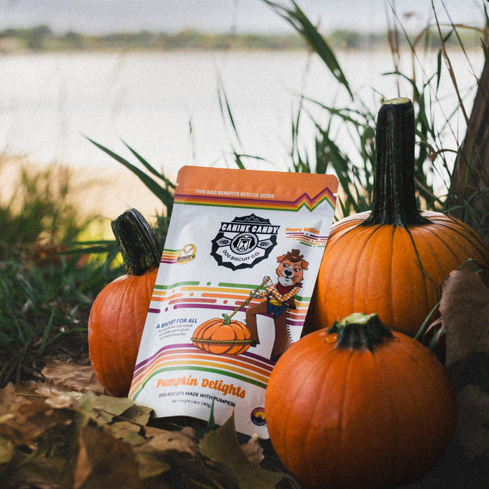 Pumpkin Delights Biscuits