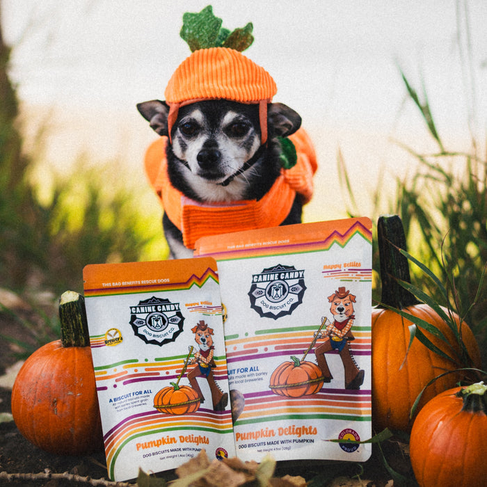 Pumpkin Delights Biscuits