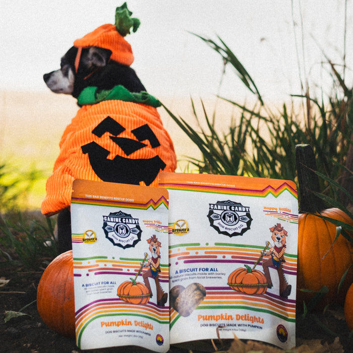 Pumpkin Delights Biscuits