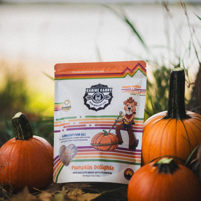 Pumpkin Delights Biscuits