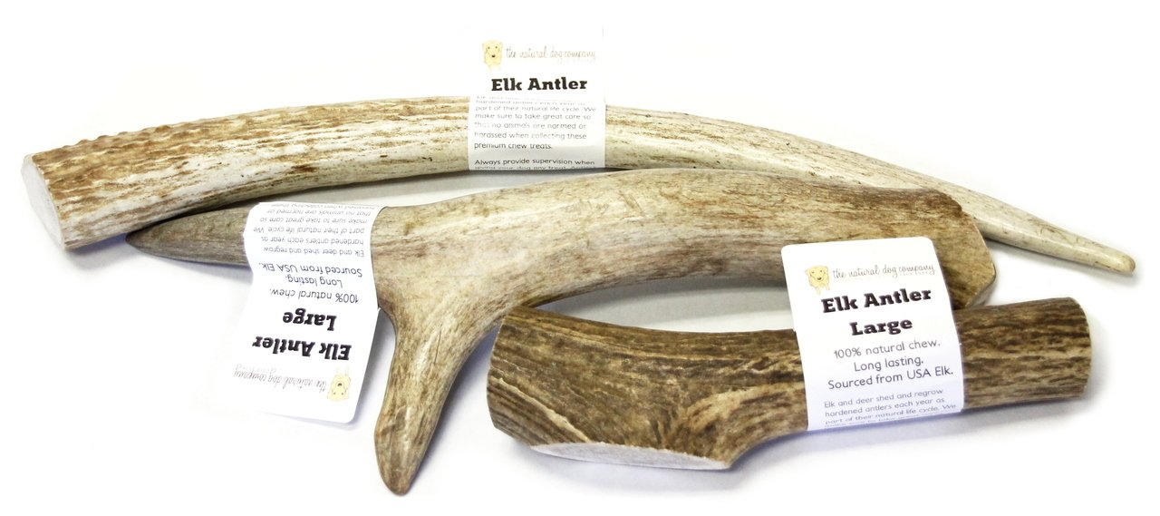 Elk Antler Chew - Large