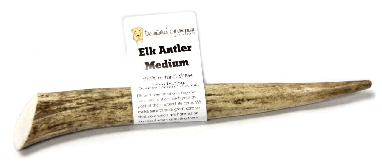 Elk Antler Chew - Medium 