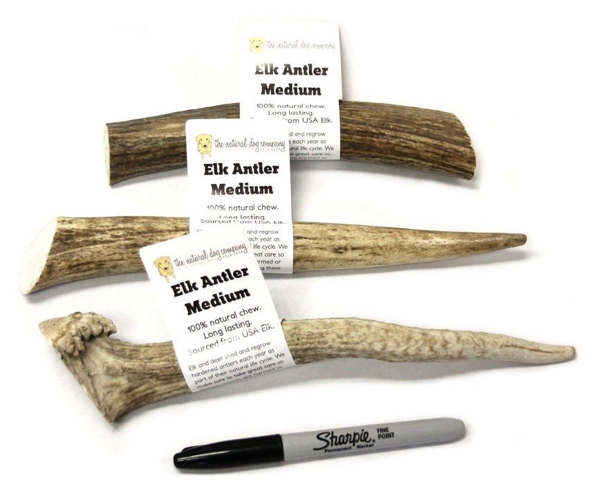 Elk Antler Chew - Medium 