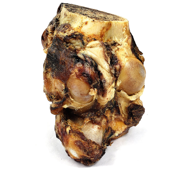 Extra Large XL Bison Knuckle Bone (Shrinkwrapped)