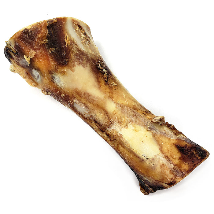 Bison Femur Bone (Shrinkwrapped)