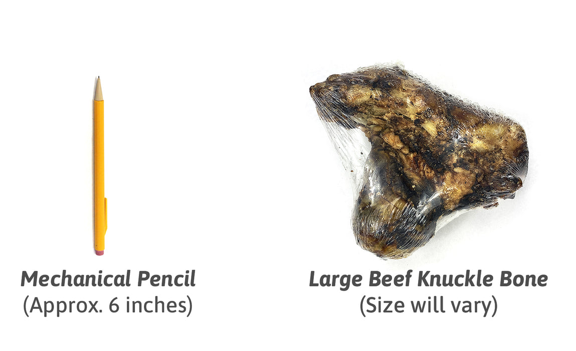 Large Beef Knuckle Bone (Bulk - Shrinkwrapped)