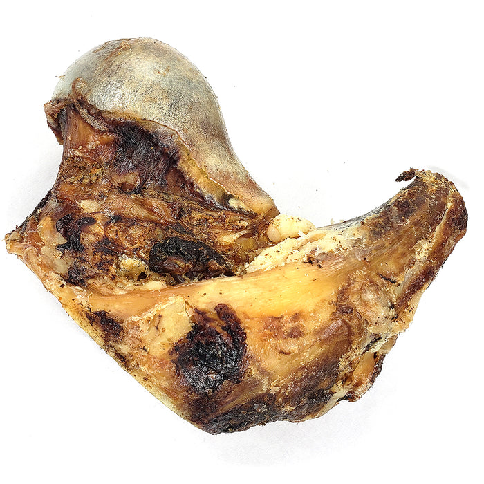 Large Bison Knuckle Bone (Shrinkwrapped)